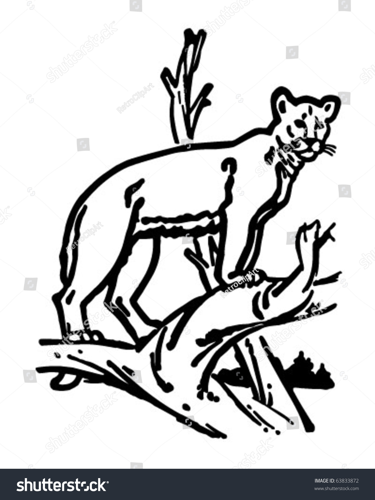 Mountain Lion - Retro Clipart Illustration - 63833872 : Shutterstock