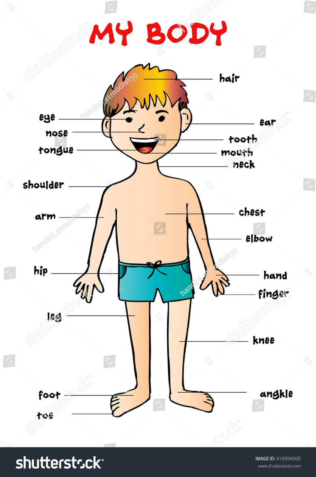 My Body Educational Info Graphic Chart Stock Vector 419594500