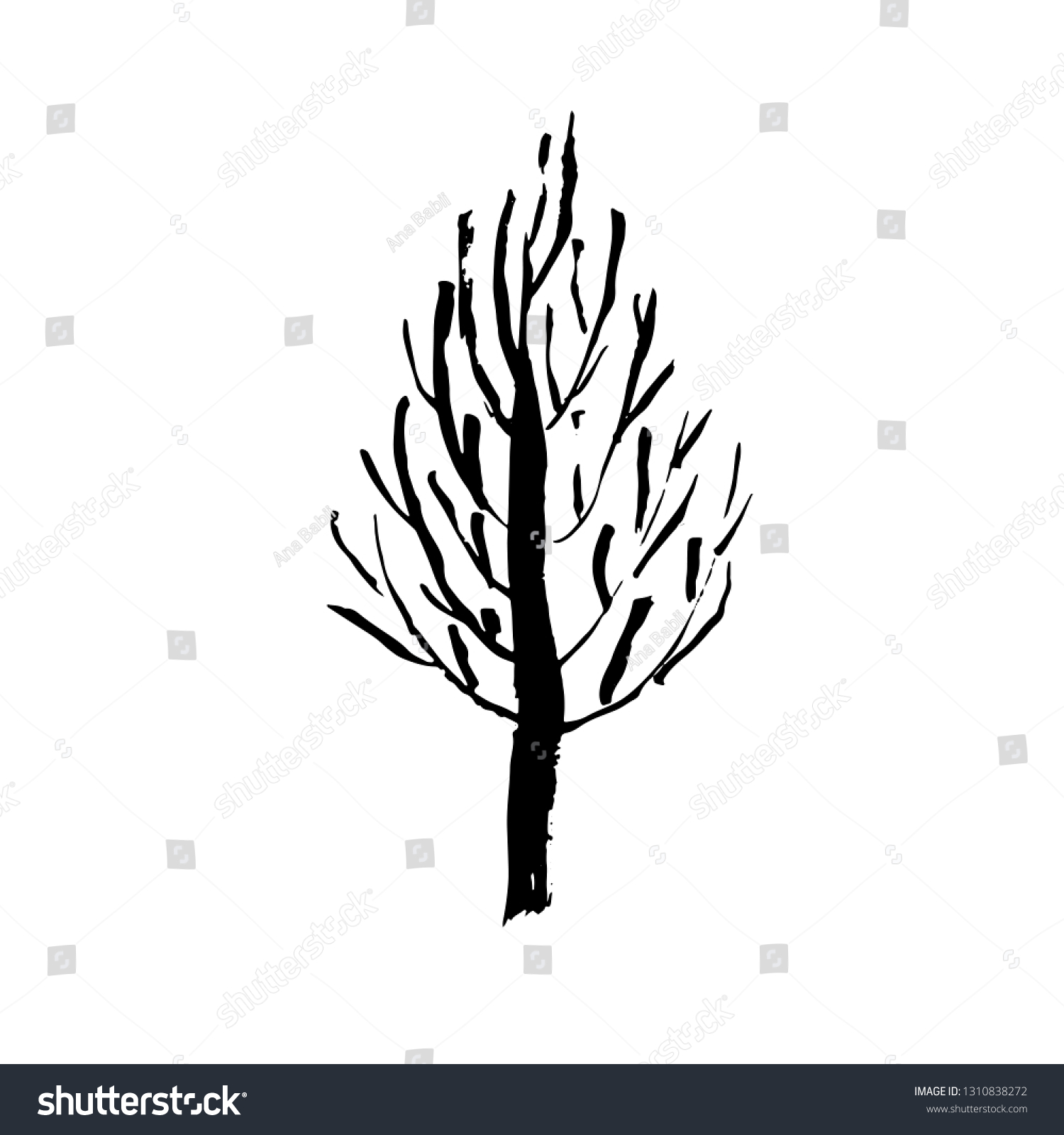 Naked Tree Silhouette Hand Drawn Vector Vector De Stock Libre De