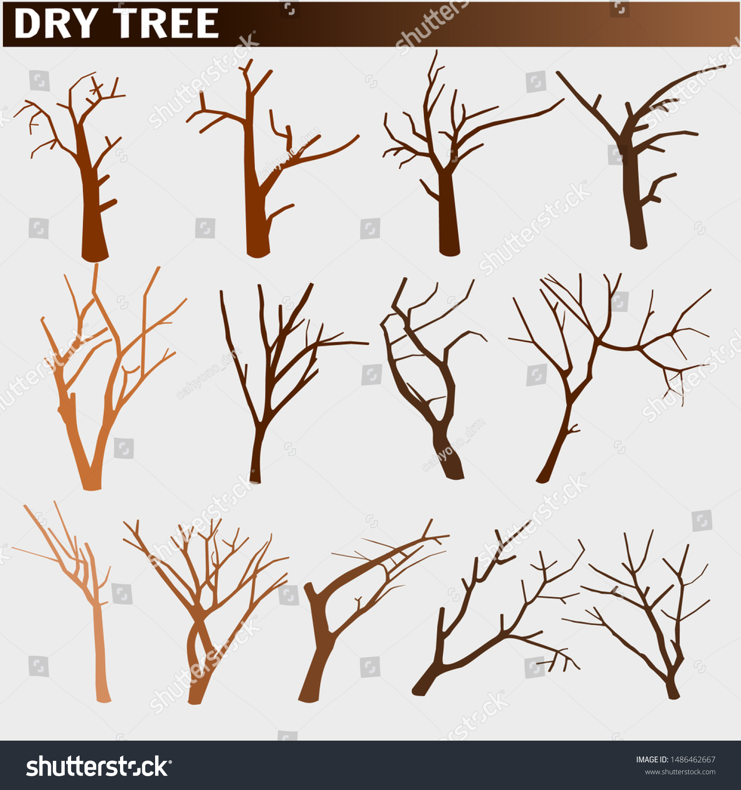 Naked Trees Silhouettes Set Dry Trees Stock Vector Royalty Free