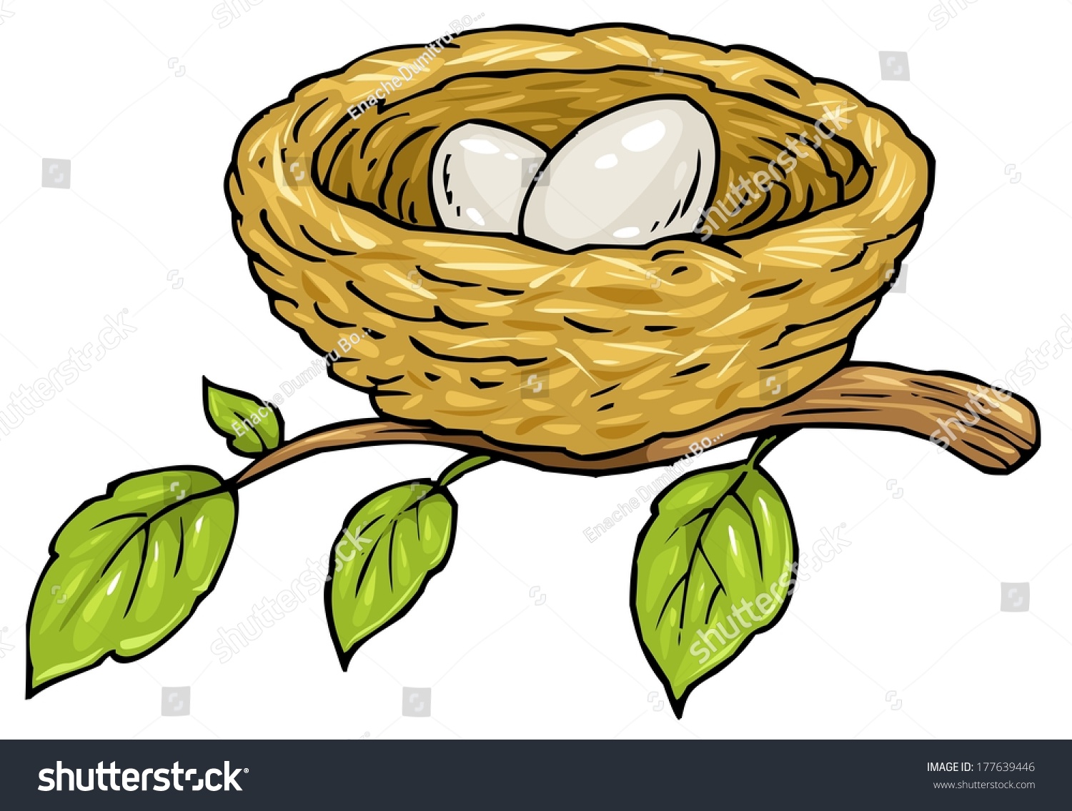 clipart nest egg - photo #44