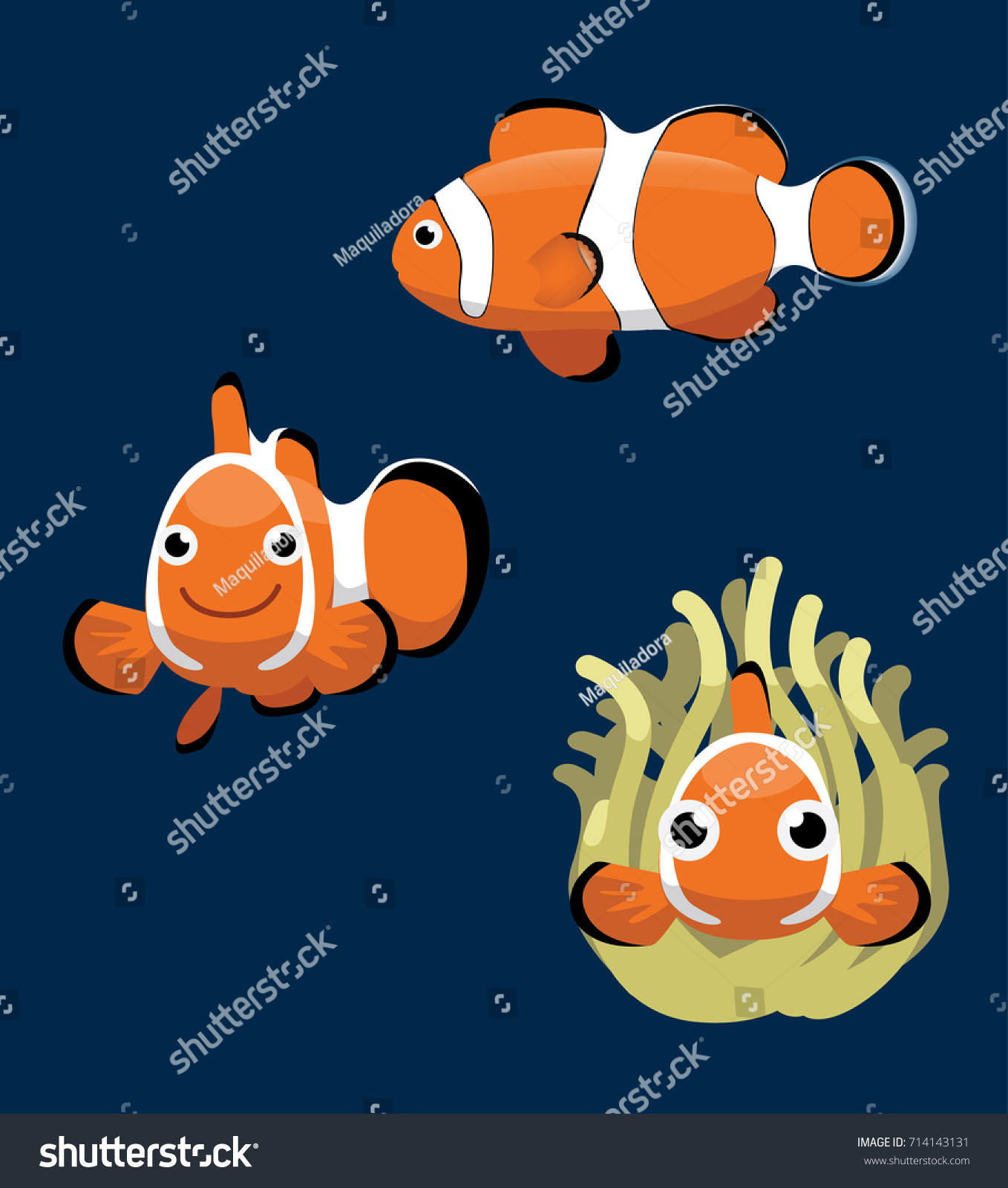 Ocellaris Clownfish Cartoon Vector Illustration Stock Vector Royalty