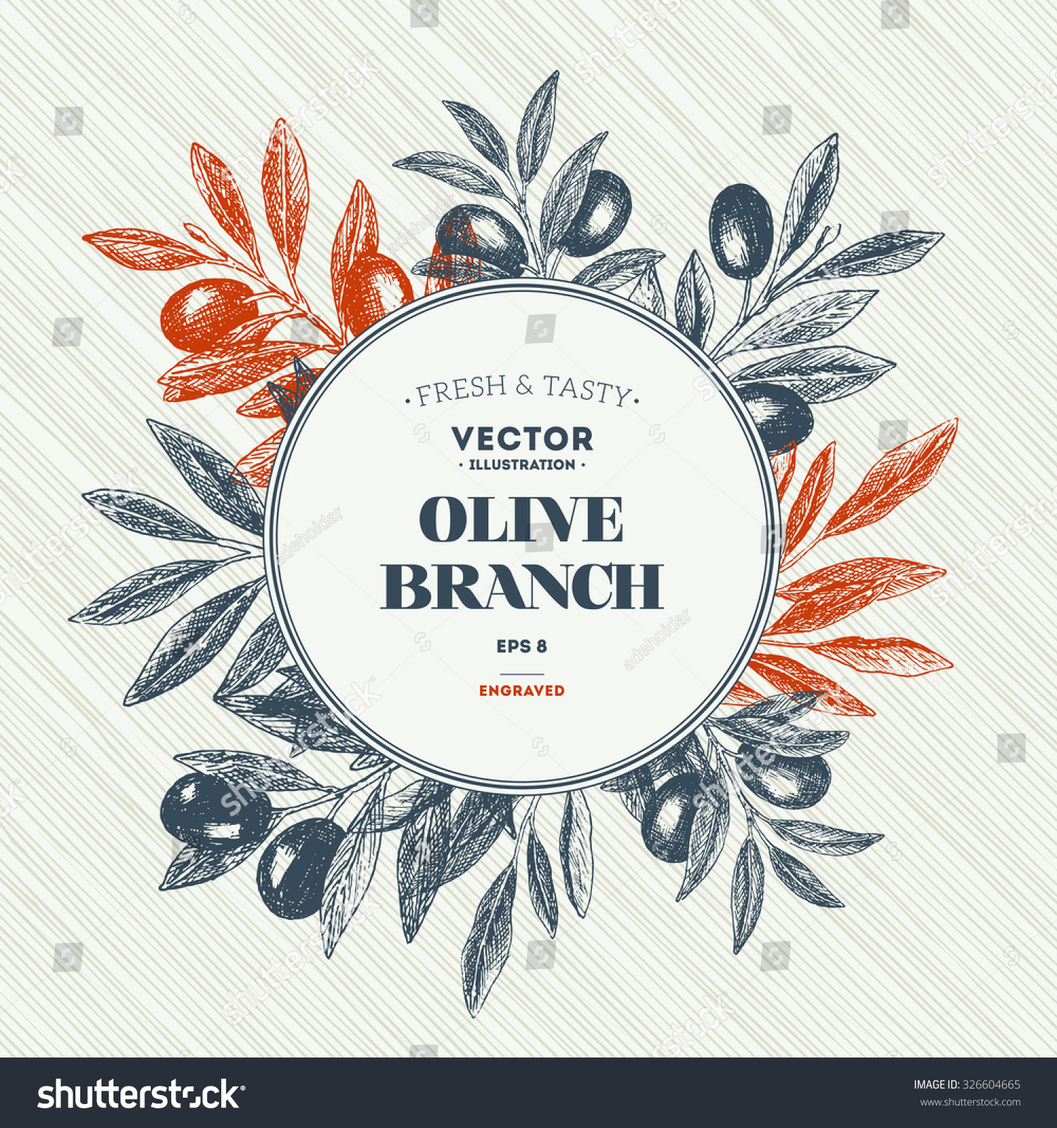 Olive Branch. Design Template. Vector Illustration 326604665