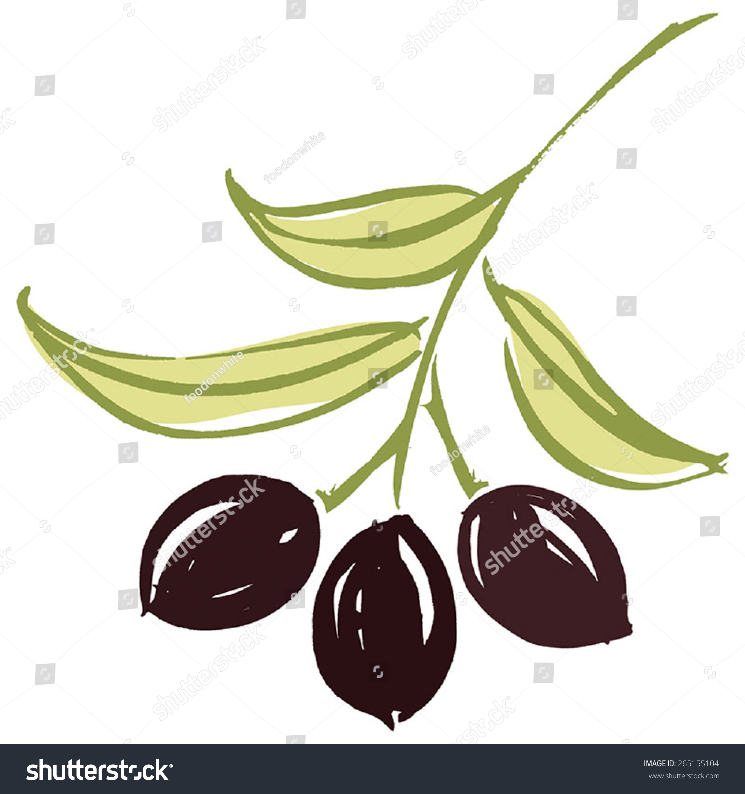 Olive Branch Olive Leaves Black Ripe Stock Vector 265155104 - Shutterstock