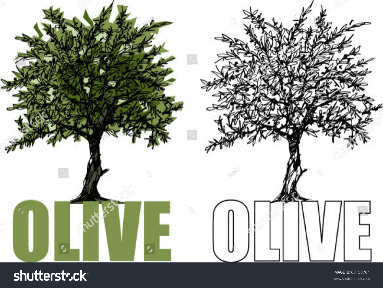 Olive Tree Stock Vector 63158764 - Shutterstock