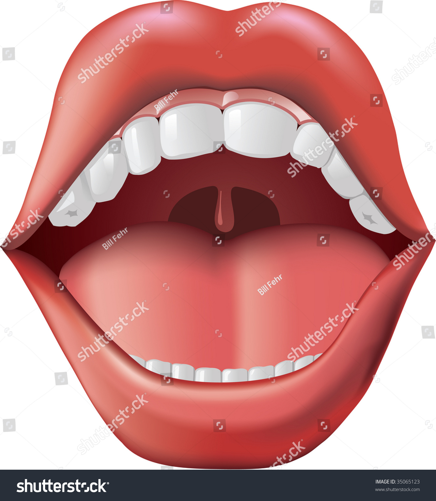 Open Mouth Tongue Teeth Adobe Illustrator Stock Vector 35065123 Shutterstock 3172