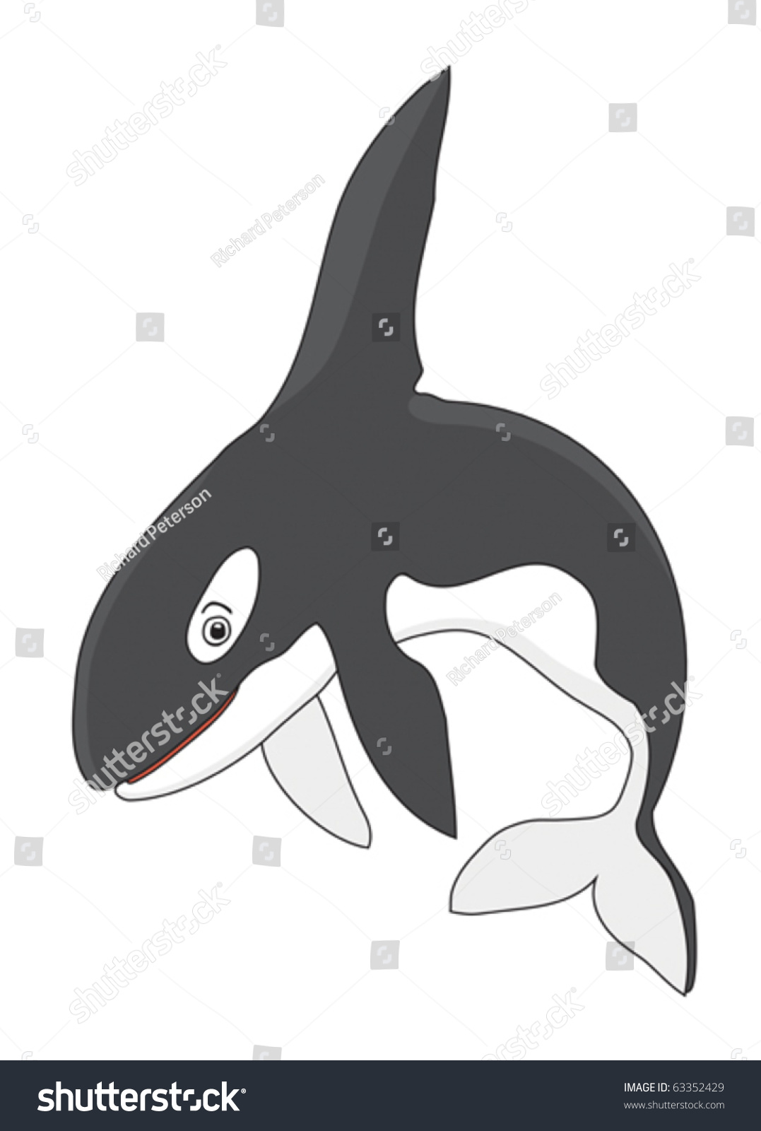 Orca Killer Whale Cartoon Vector Illustration - 63352429 : Shutterstock