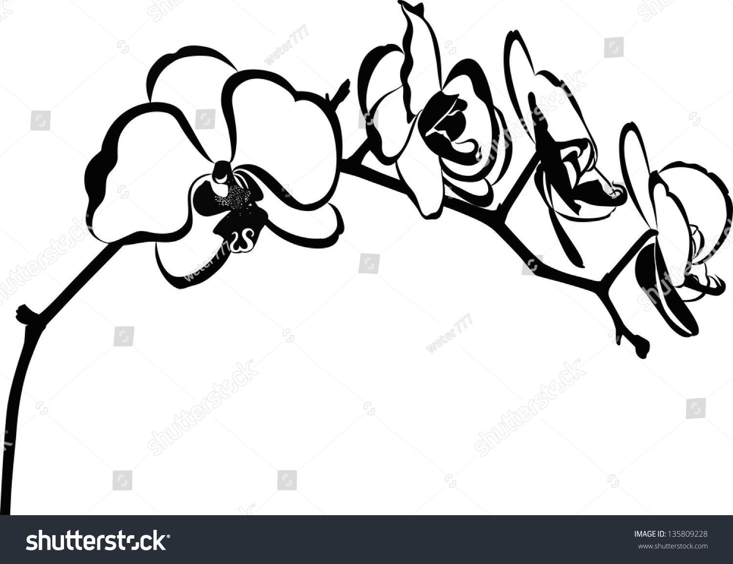 Orchid Clip Art Black And White