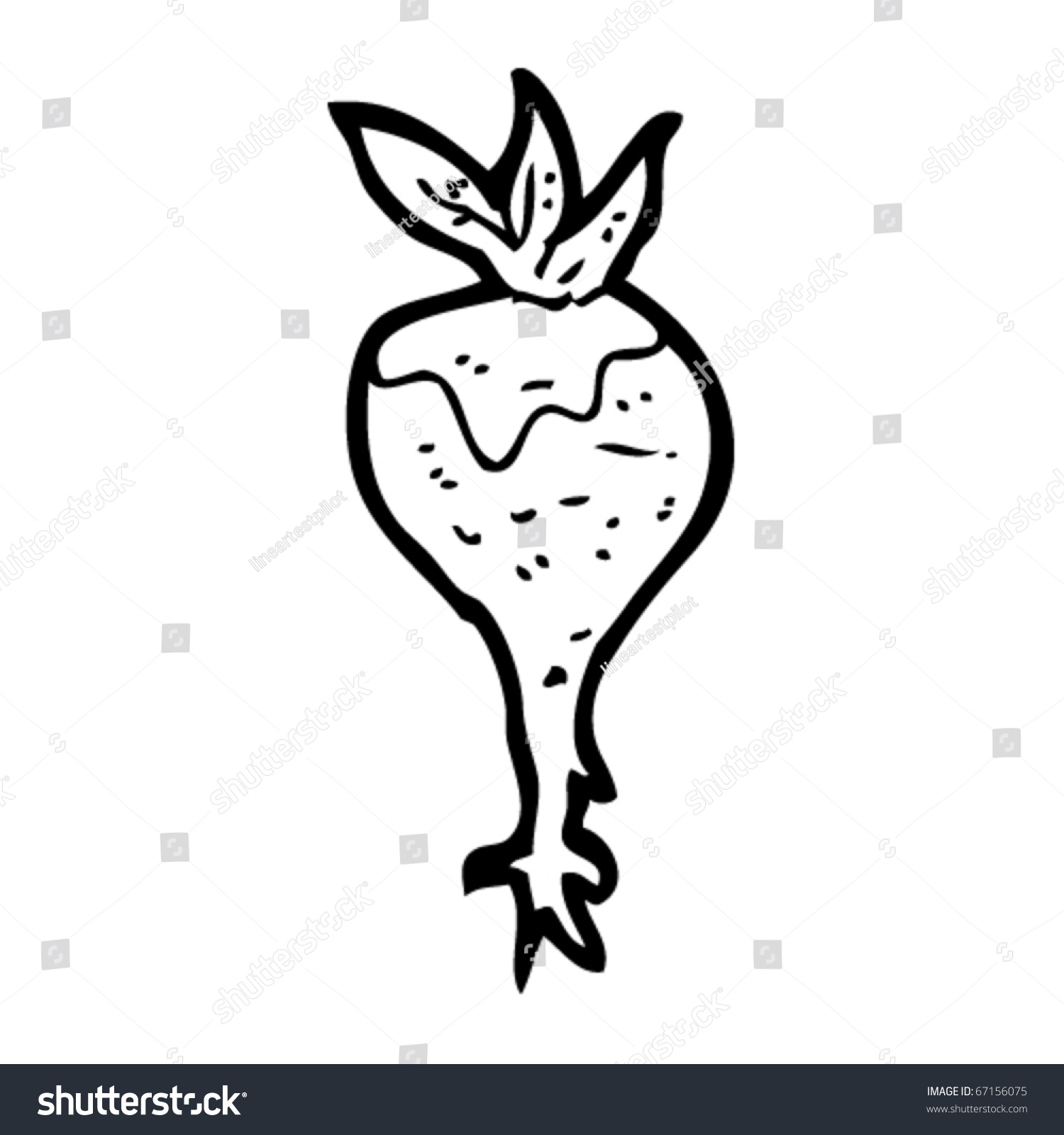 Organic Beet Cartoon Stock Vector Illustration 67156075 : Shutterstock