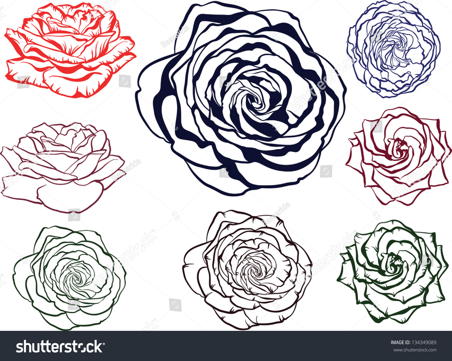 Outline Rose Flowers Stock Vector Illustration Shutterstock