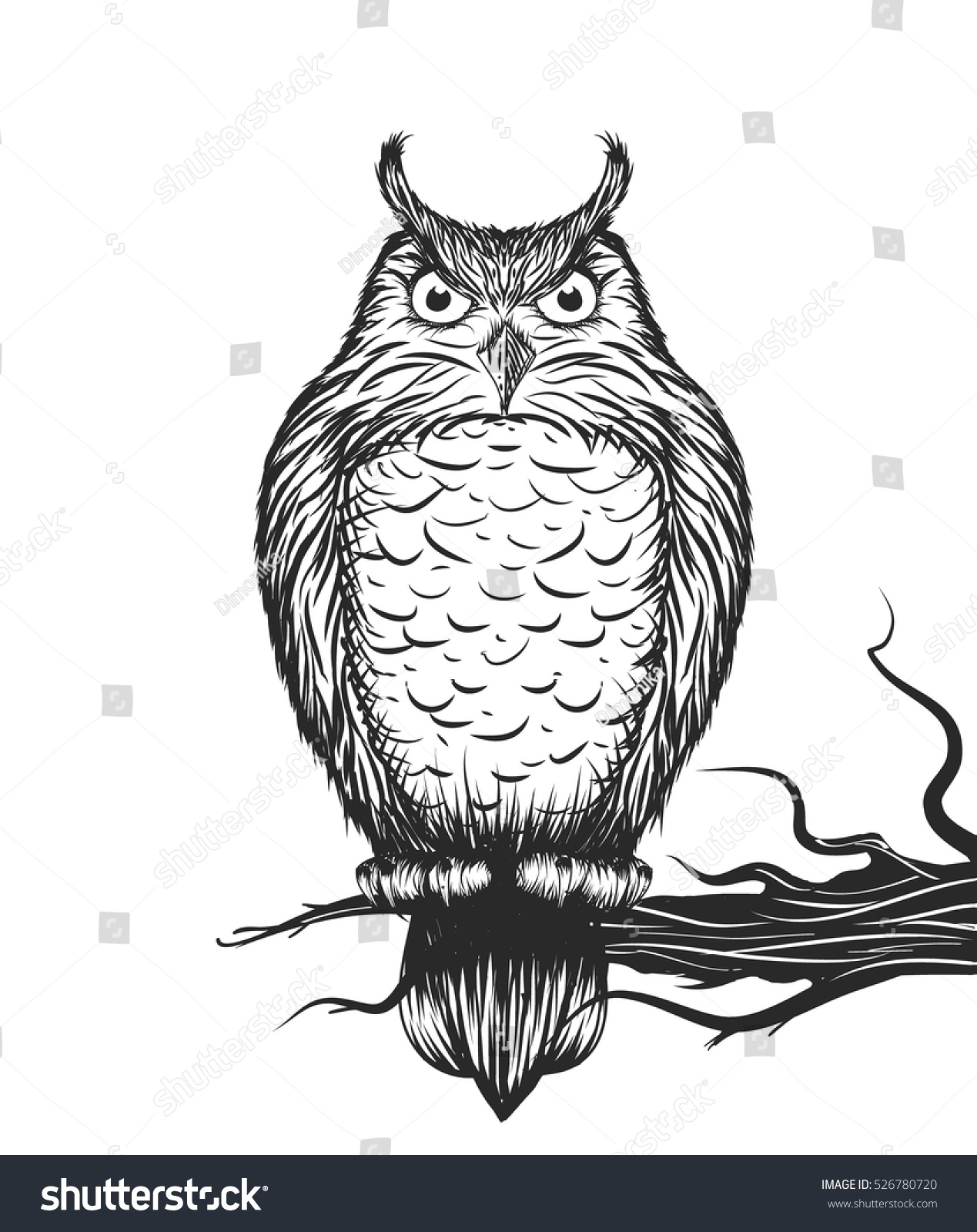 Owl is sitting on the branch.Vector illustration Owl is sitting on the branch.Vector illustration