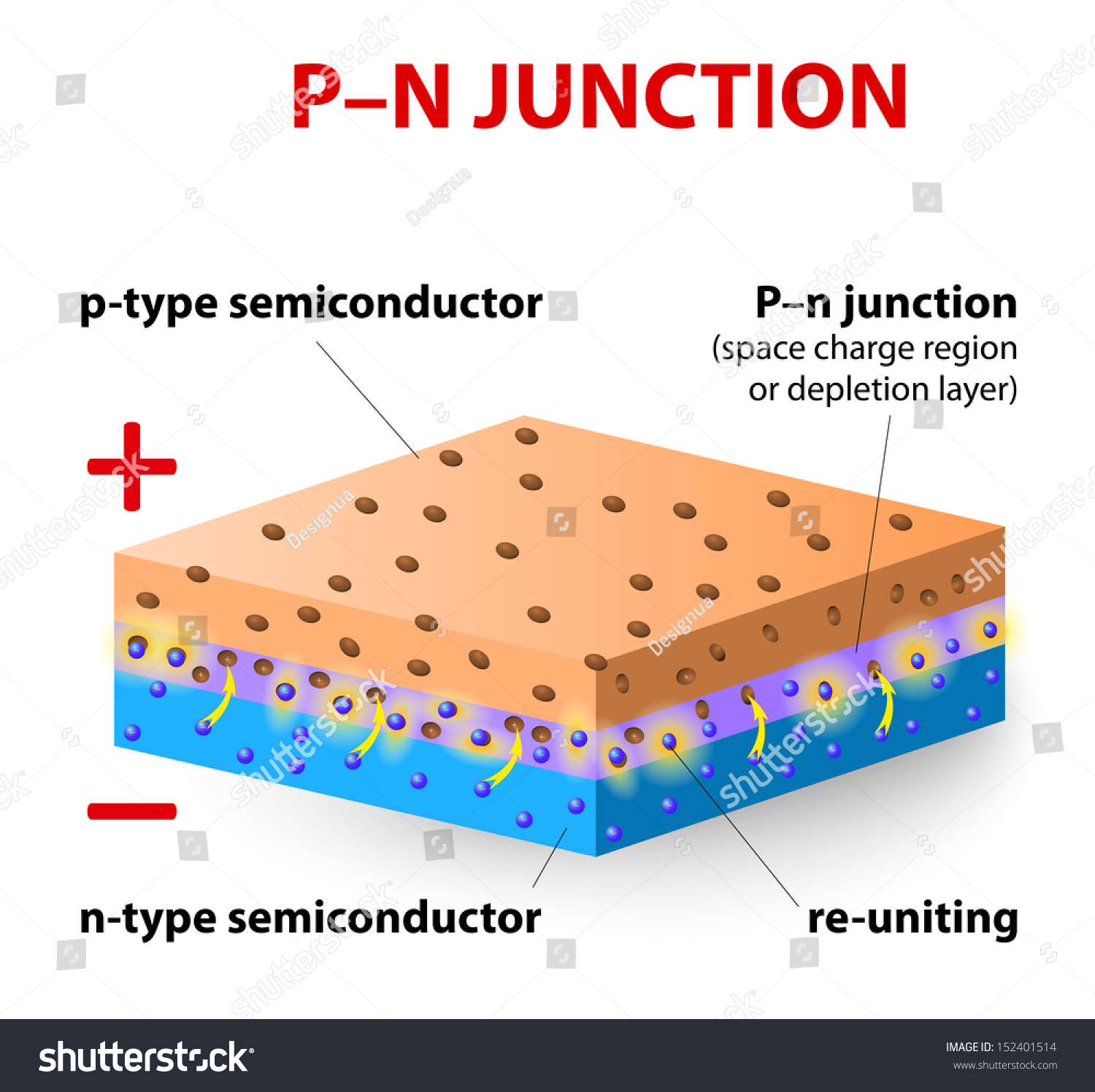 p-n-junction-p-type-silicon-layer-contains-more-positive-charges