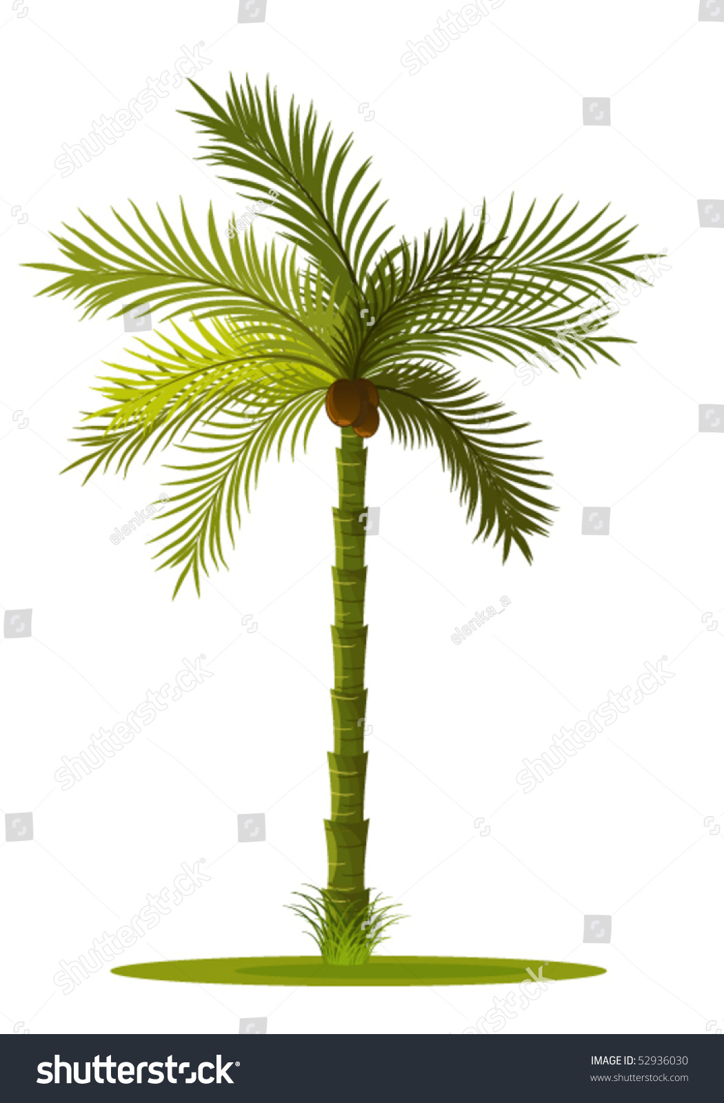 Palm Tree Stock Vector 52936030 - Shutterstock