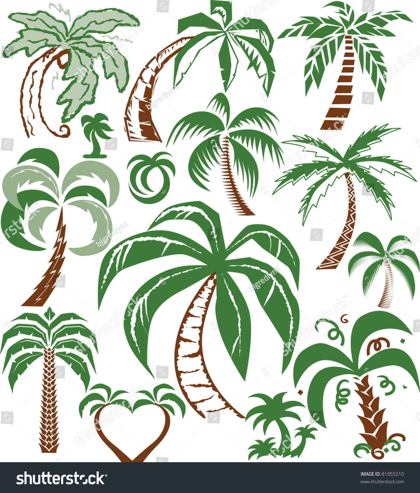 Palm Tree Collection Stock Vector 81955210 - Shutterstock