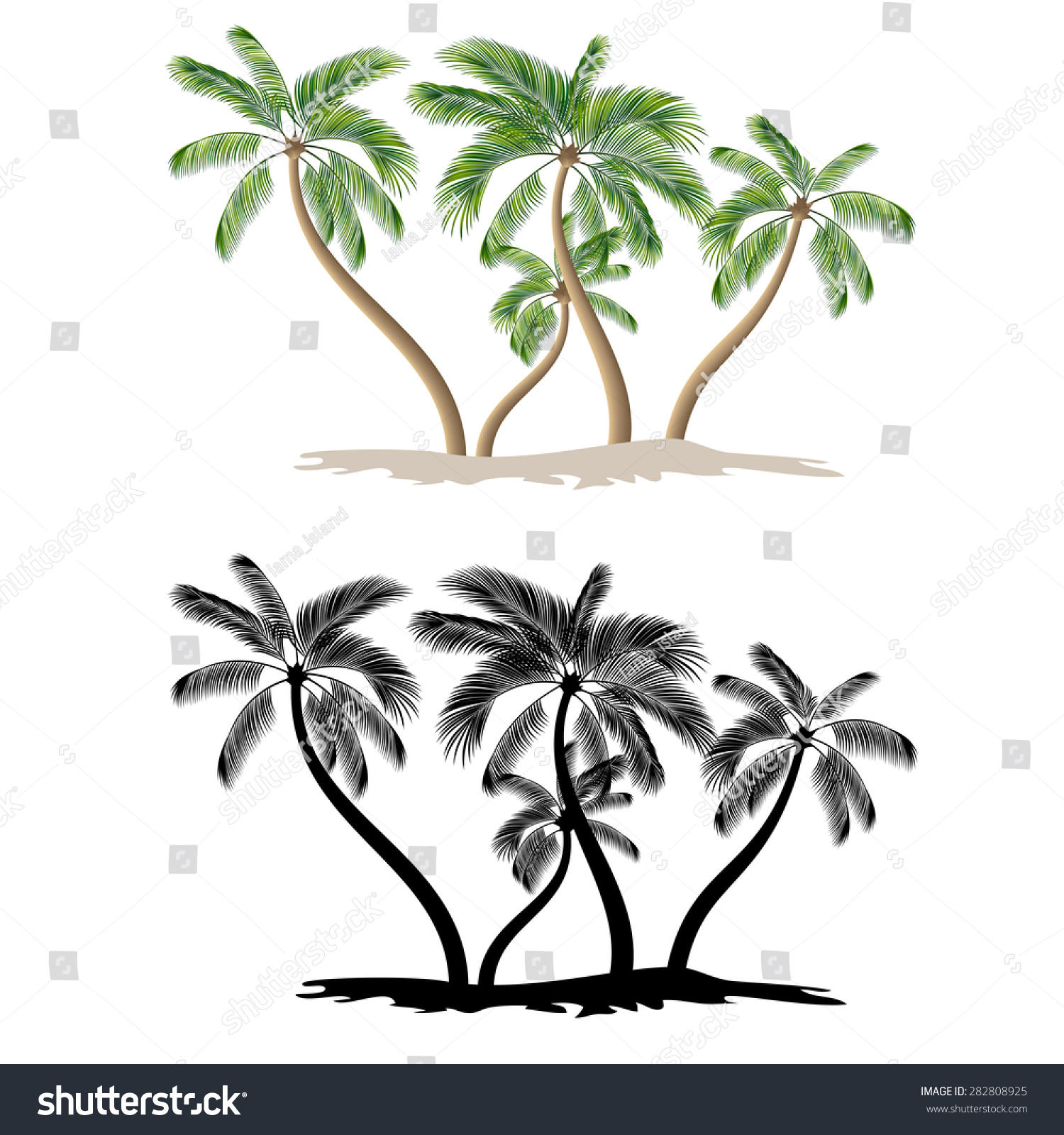 Palm Tree Isolated On White Background Stock Vector Illustration