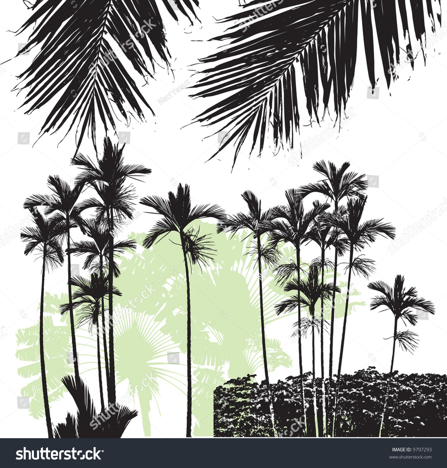 Palm Trees 01 Stock Vector Illustration 9797293 : Shutterstock
