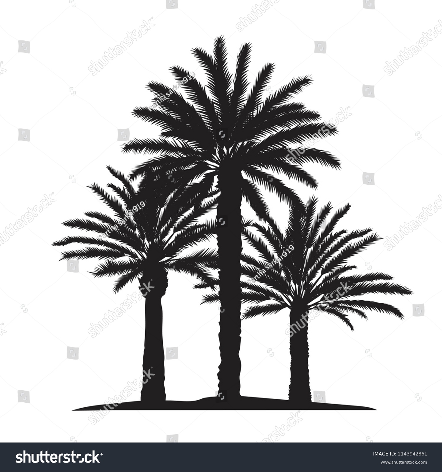 Palm Tropical Trees Silhouette Vector Set Stock Vector Royalty Free