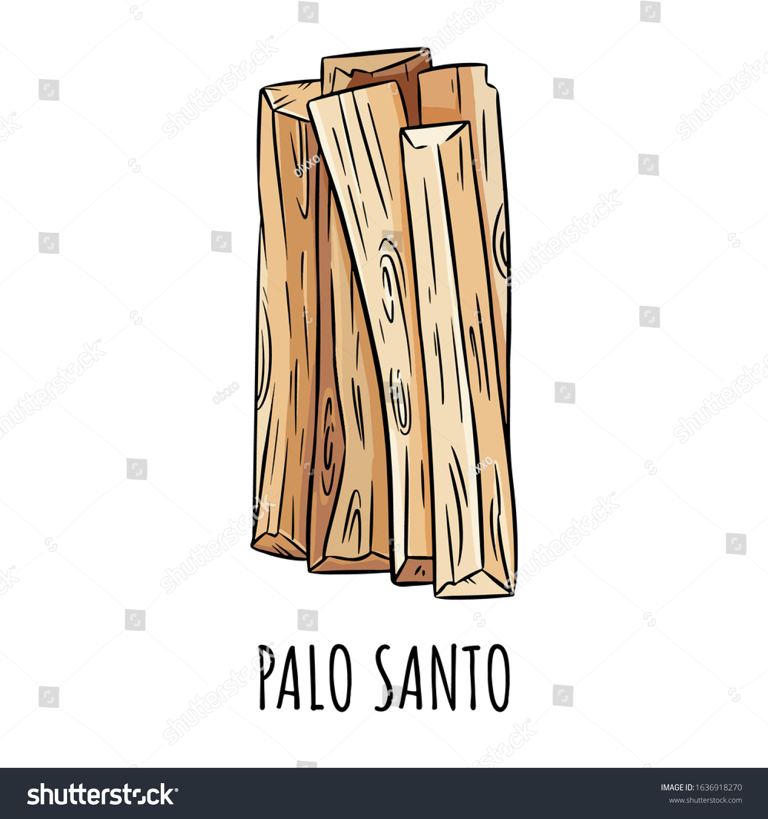 Palo Santo Holy Wood Tree Aroma Stock Vector Royalty Free