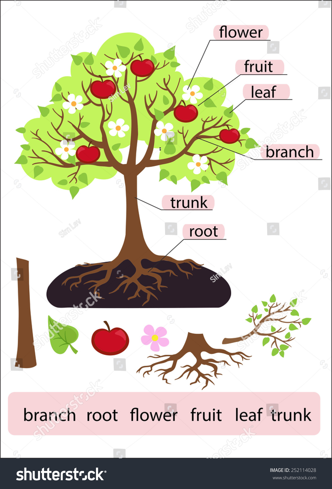 clipart tree with roots and fruit - photo #23