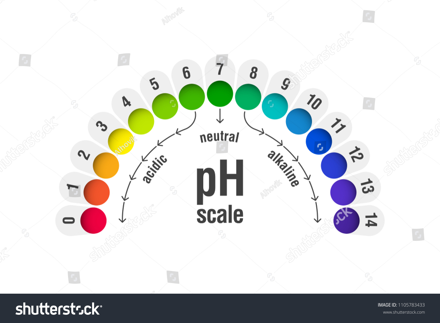 Ph Value Scale Chart Acid Alkaline Stock Vector Royalty Free