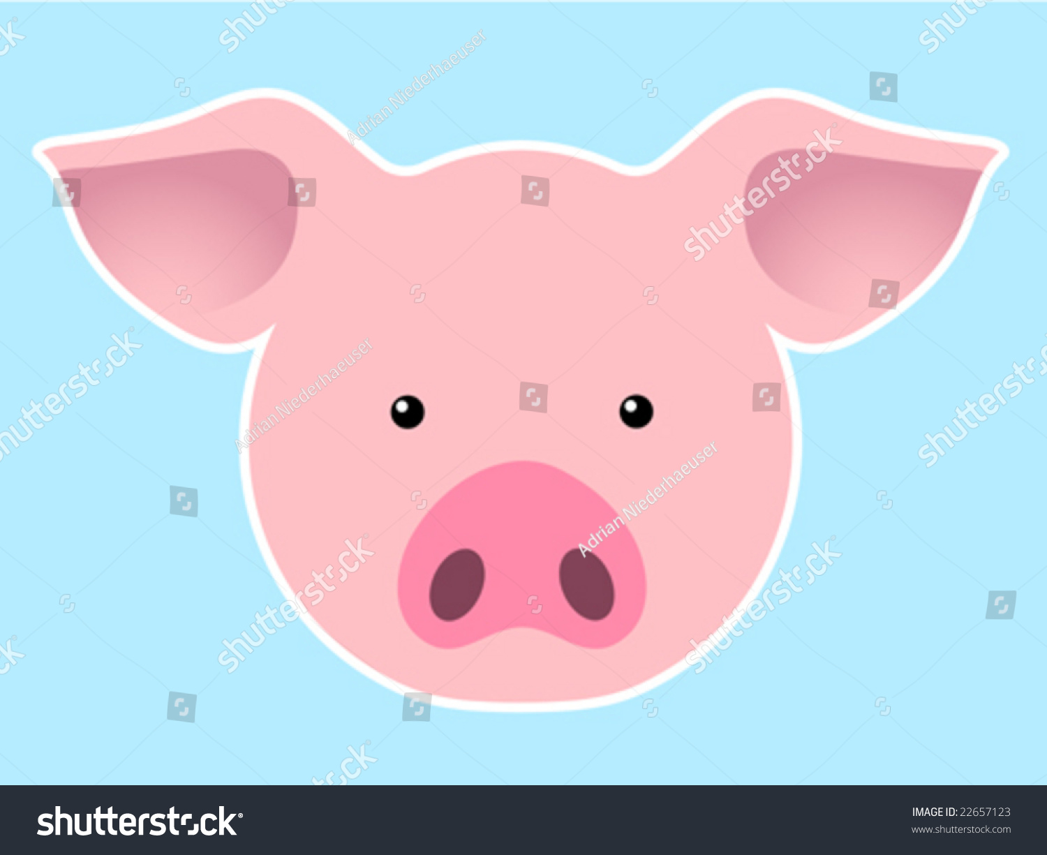 Pig Head - Vector - 22657123 : Shutterstock