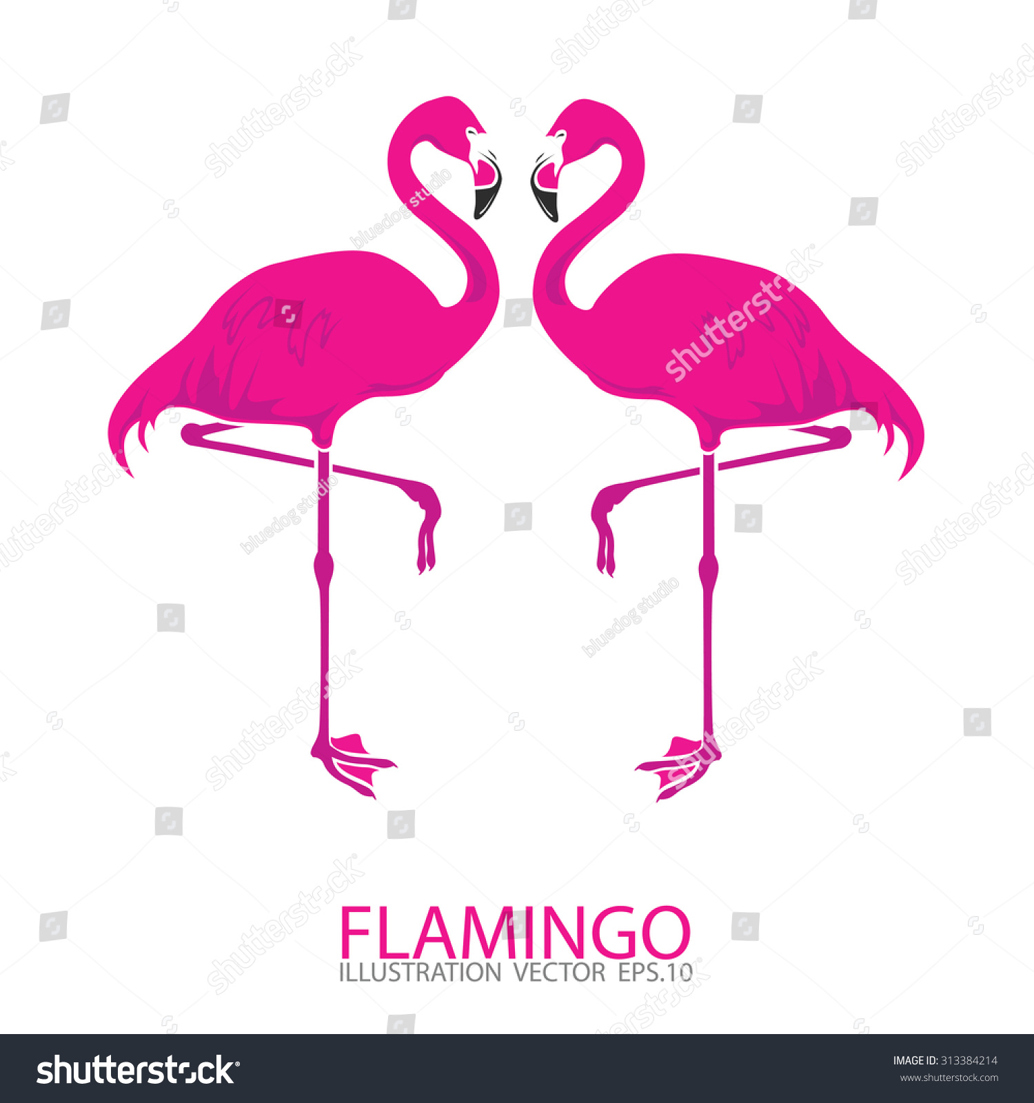 Pink Flamingo.Vector Illustration - 313384214 : Shutterstock