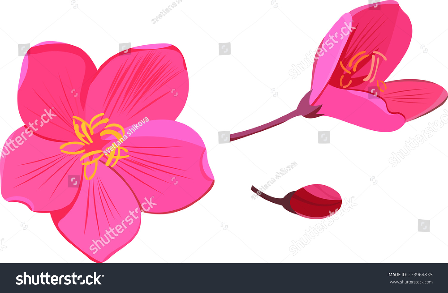 Pink Flowers And Bud Ilustración vectorial en stock 273964838