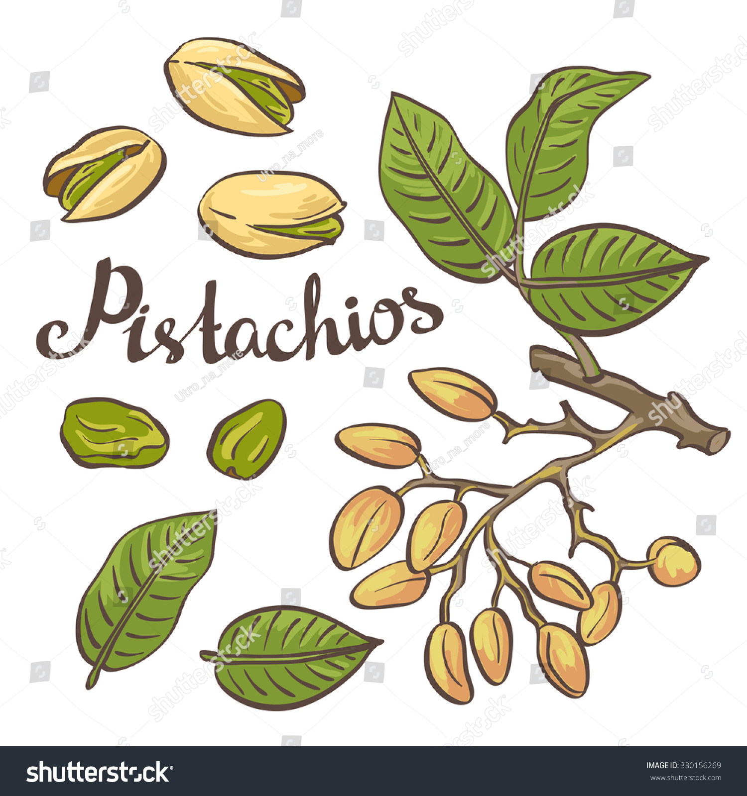 clipart of tree nuts - photo #32