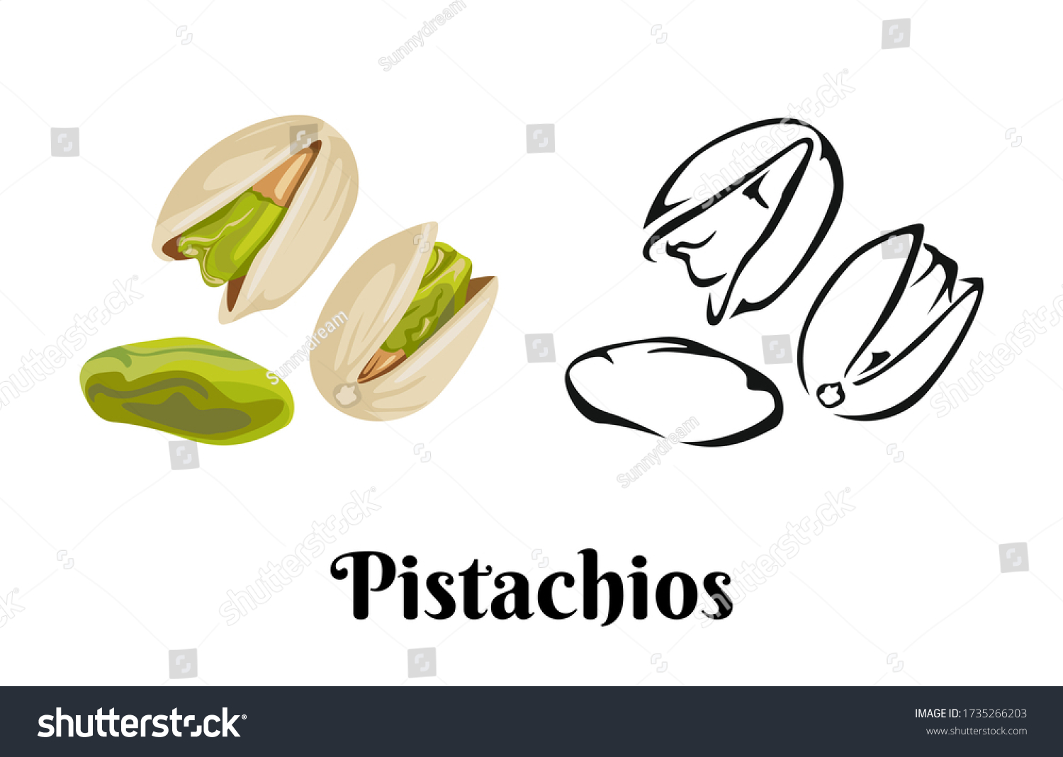 Pistachios Isolated On White Background Vector Stock Vector Royalty