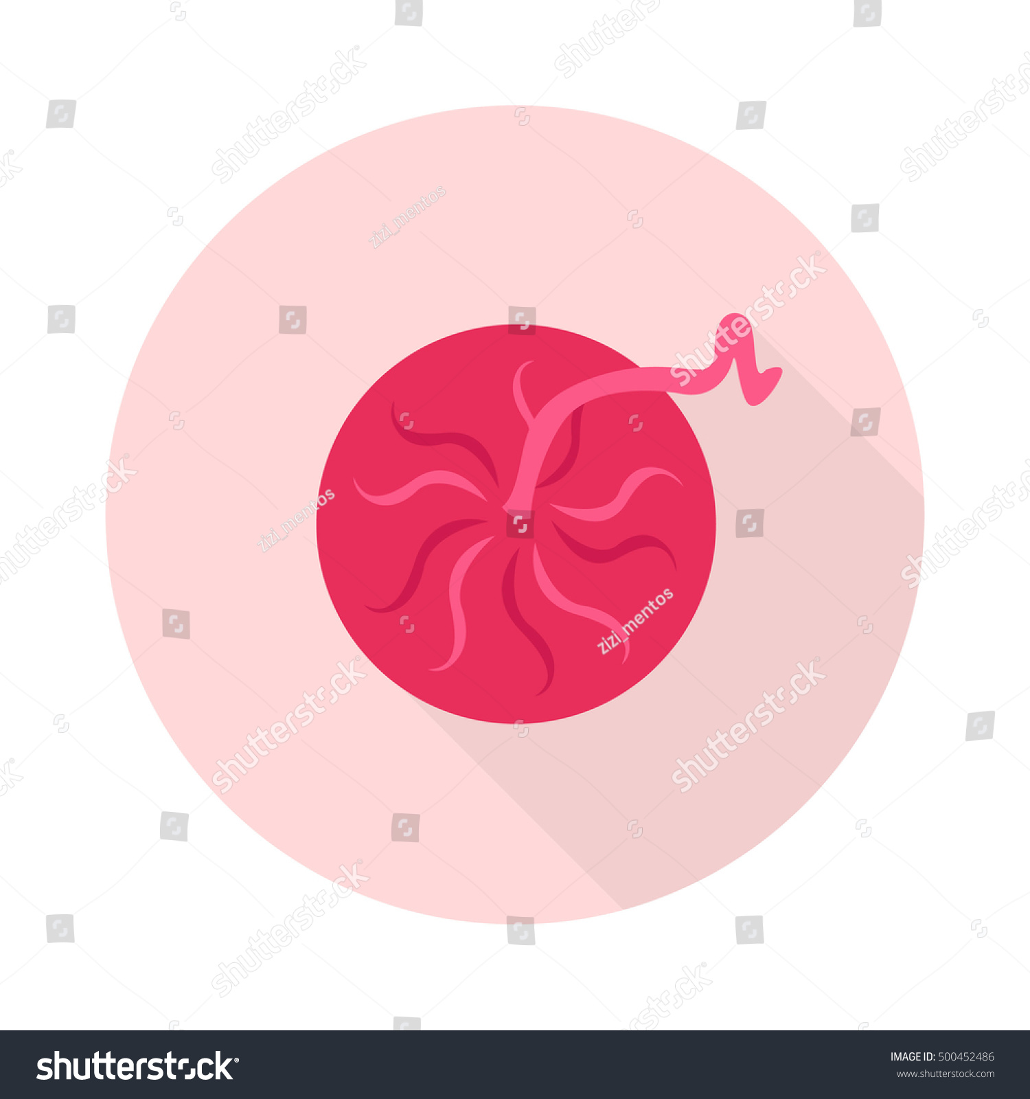 Placenta Icon Vector Illustration