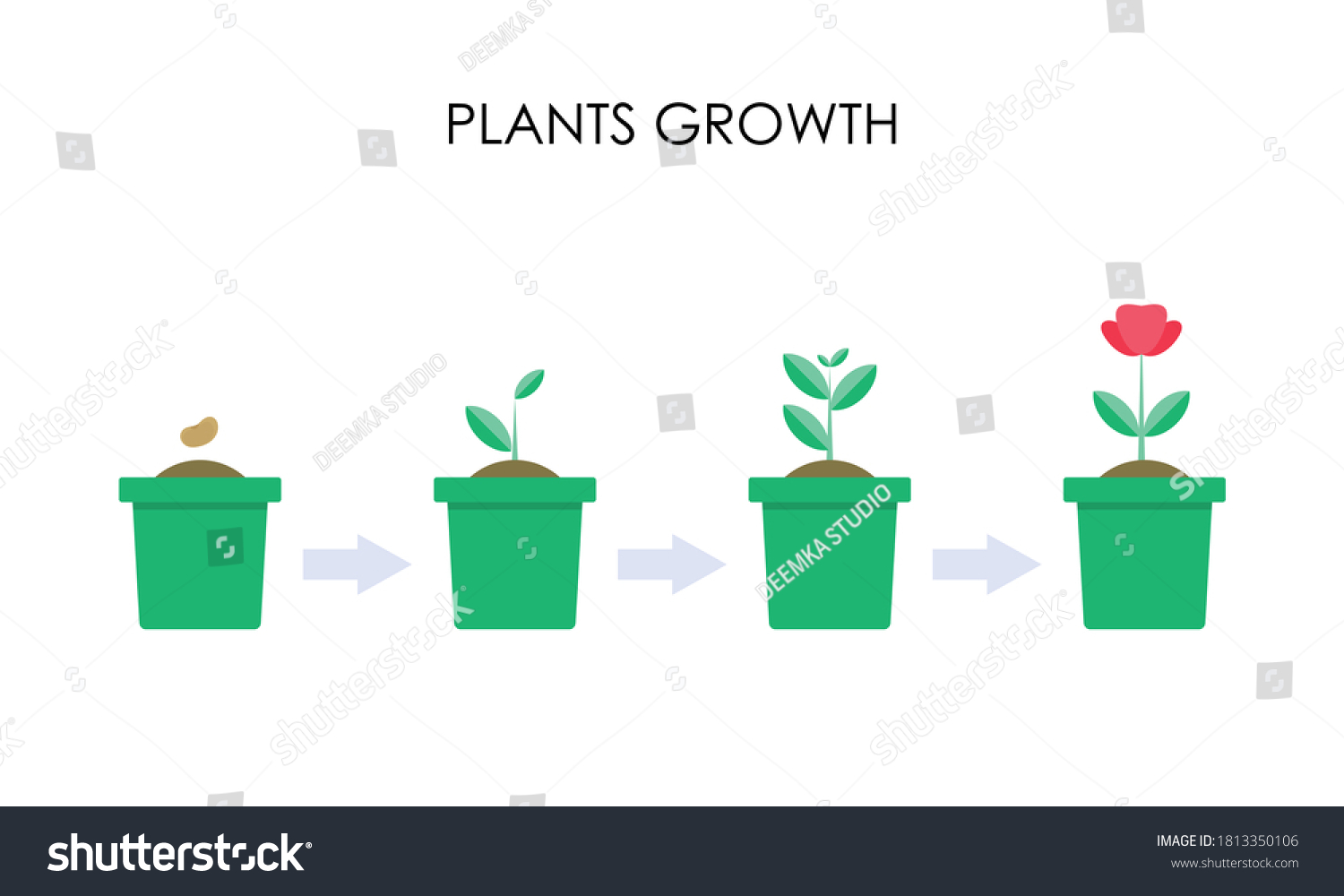 Estadios De Cultivo De Plantas Infograf A Vector De Stock Libre De