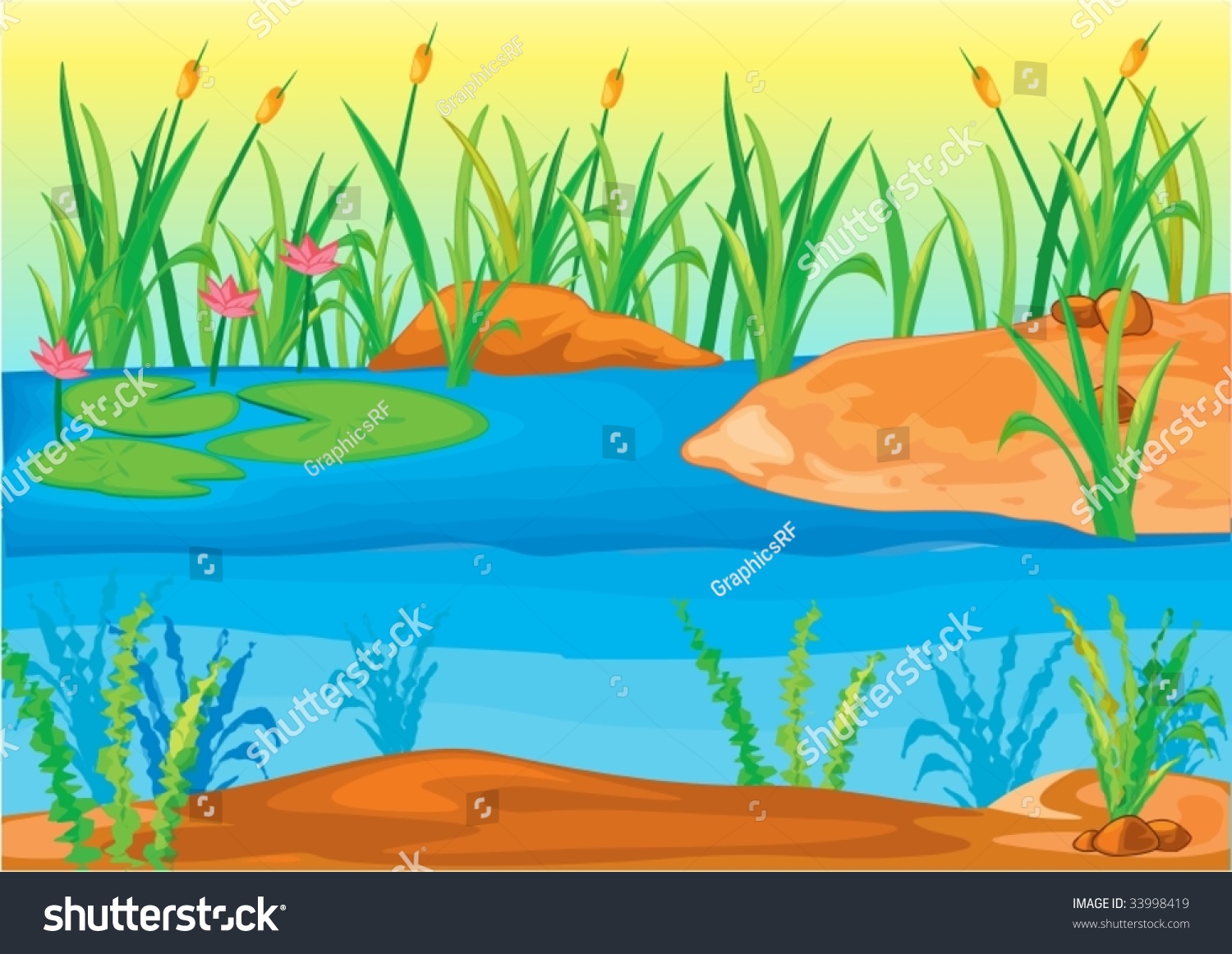 Pond With Reeds And Lilies Stock Vector Illustration 33998419