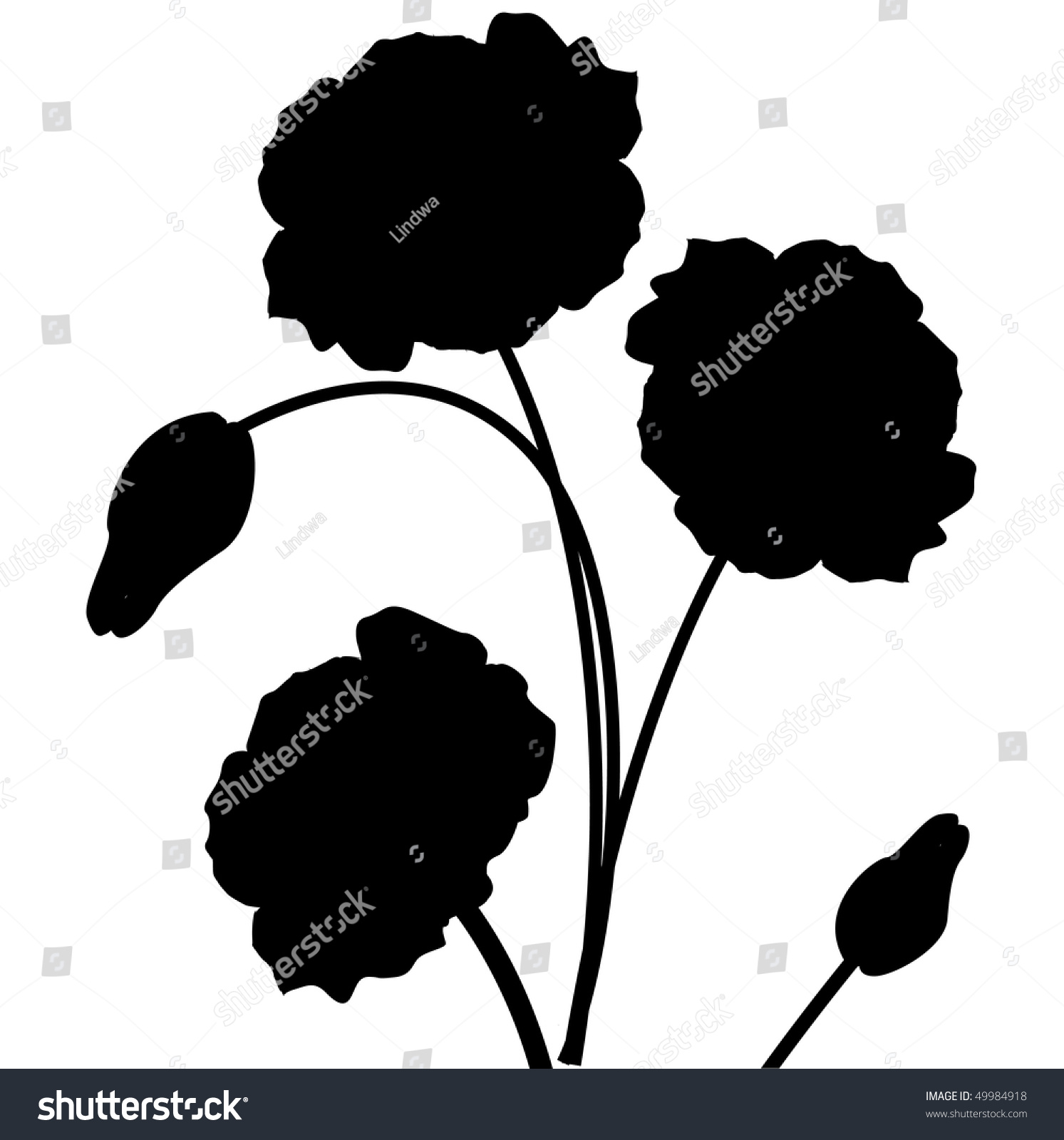Poppy Flowers Stock Vector Illustration 49984918 : Shutterstock