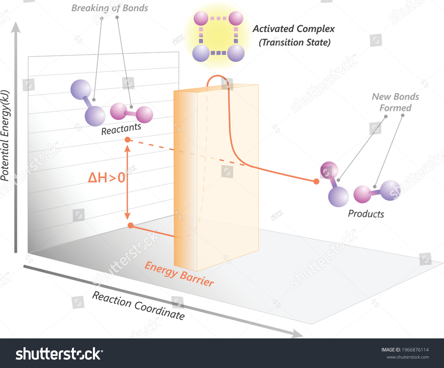 Potential Energy Graph Endothermic Reactions D Stock Vector Royalty