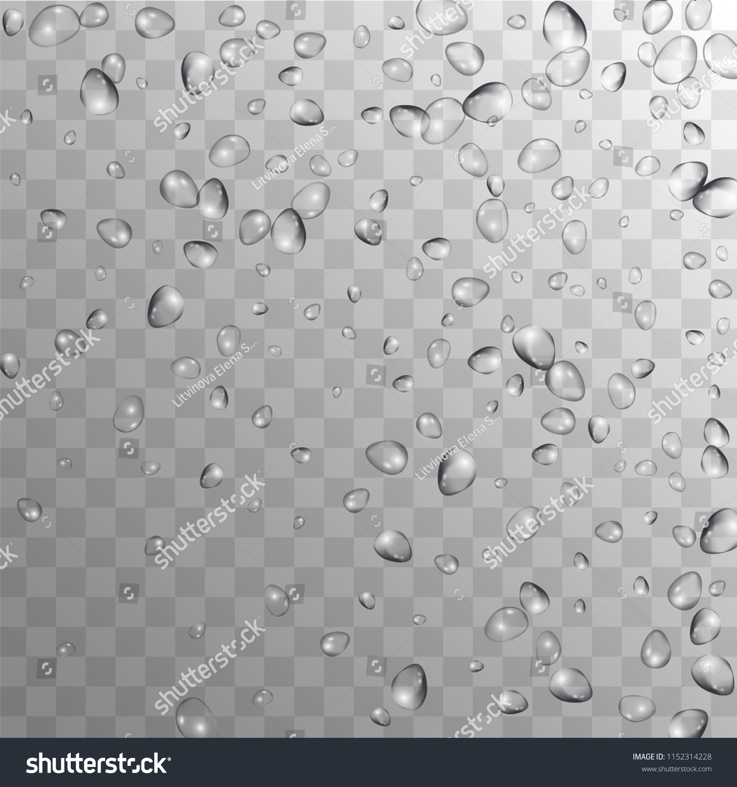 Vektor Stok Rain Drops On Transparent Background Realistic Tanpa