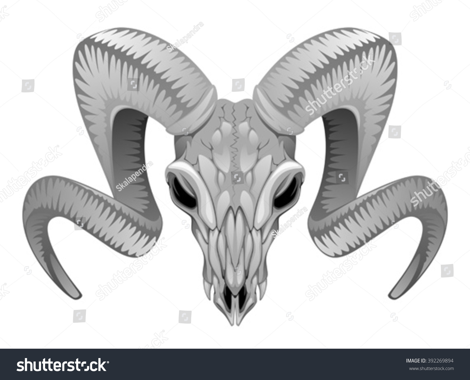 Ram Skull Stock Vector Illustration 392269894 : Shutterstock