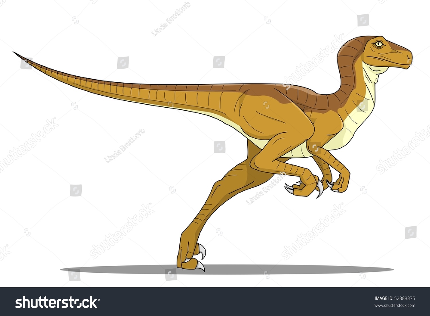 Raptor Stock Vector Illustration 52888375 Shutterstock 3576