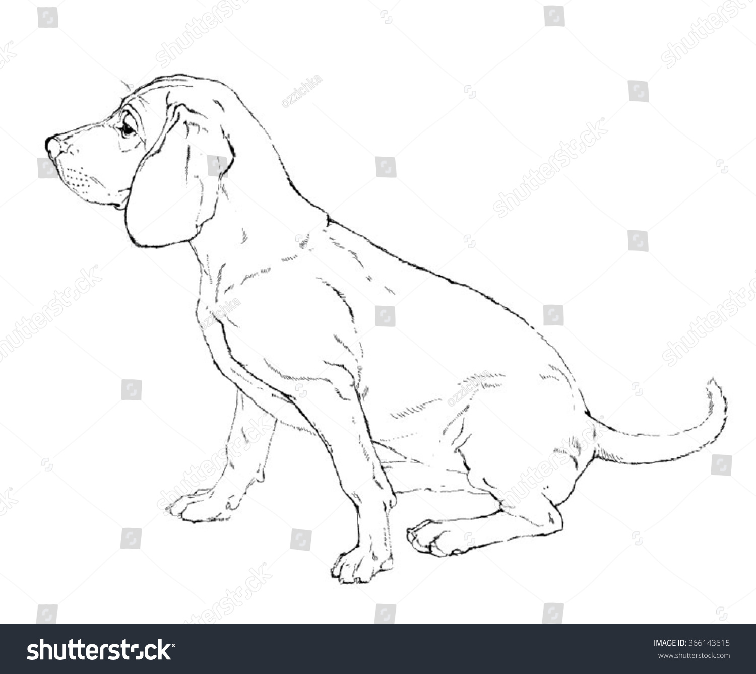 Realistic Vector Outline Sketch Calm Sitting Stock Vector
