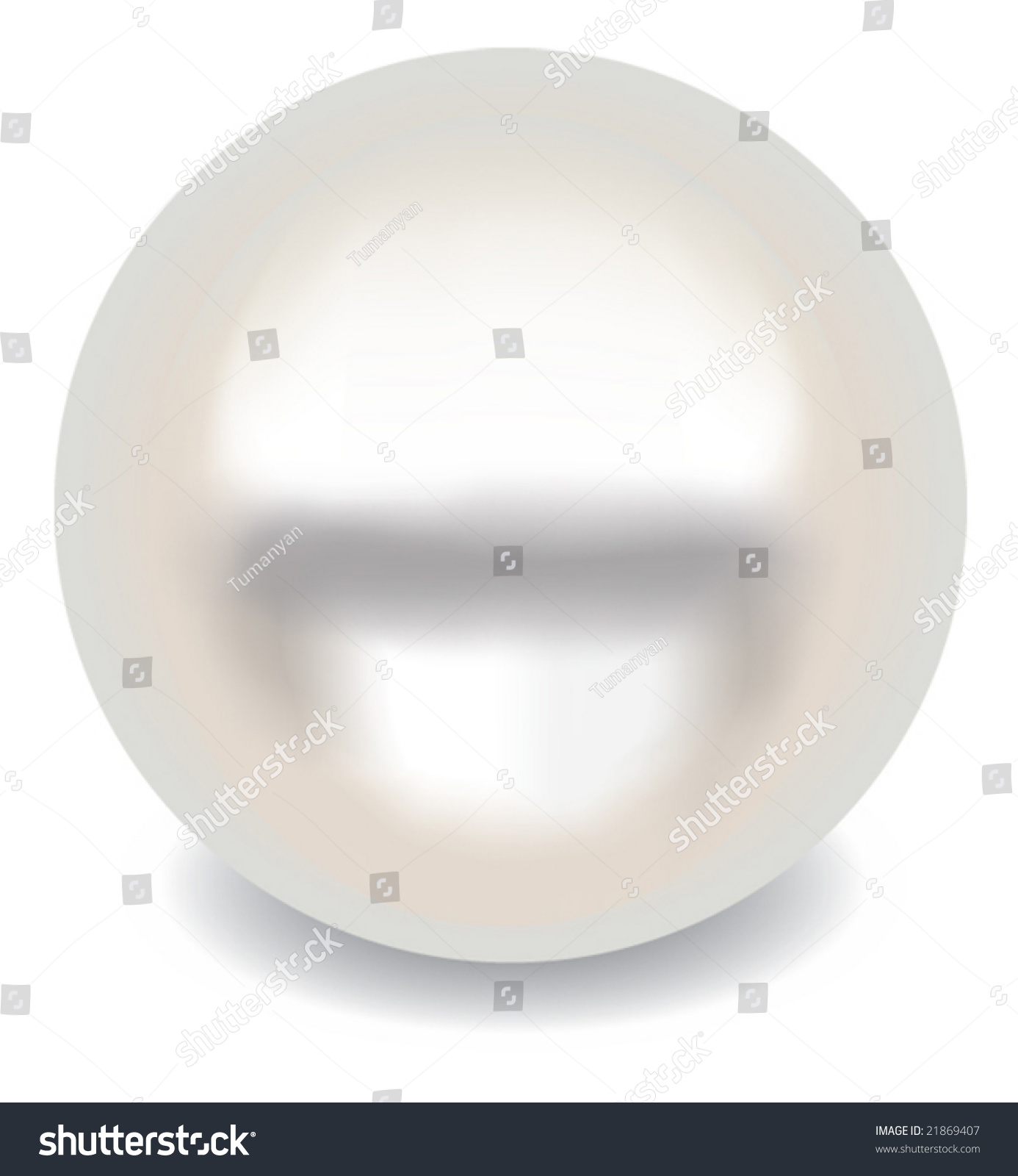 Realistic Vector Pearl. - 21869407 : Shutterstock