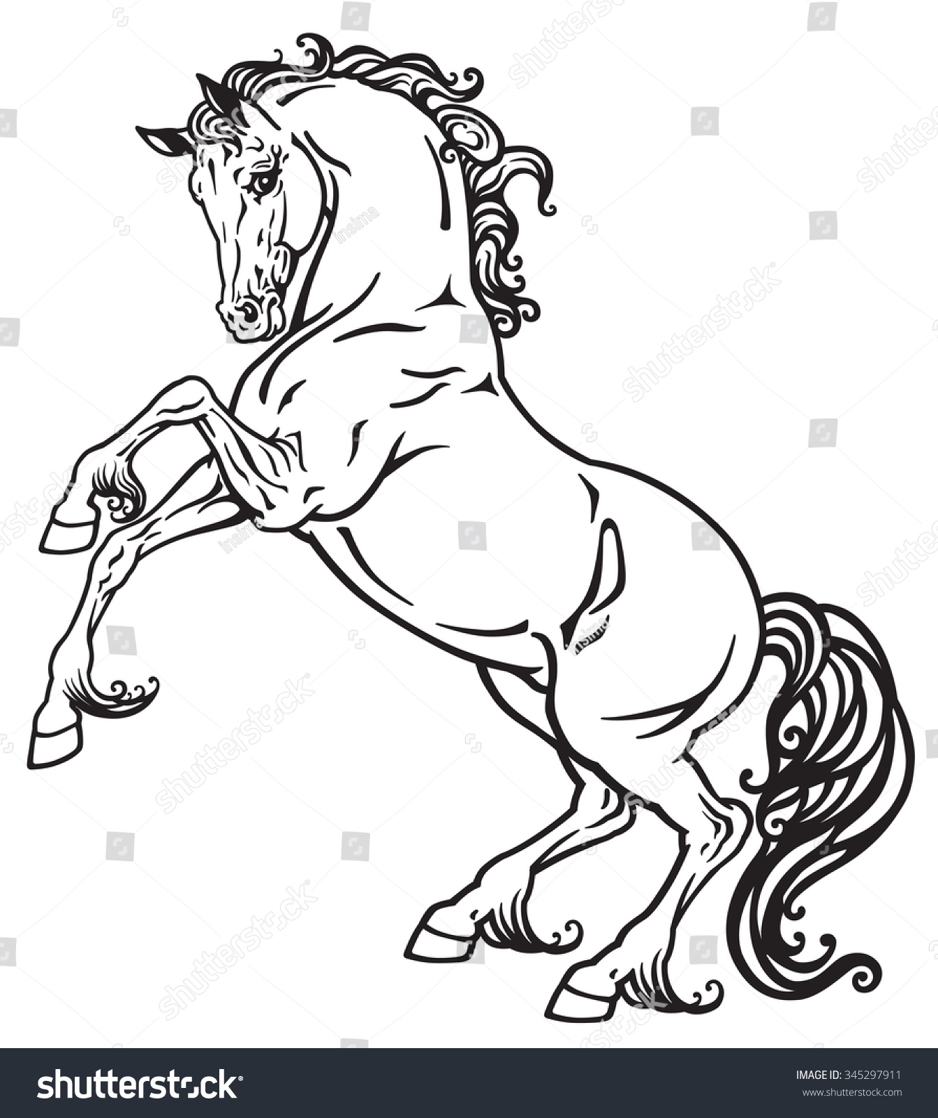 rearing horse outline