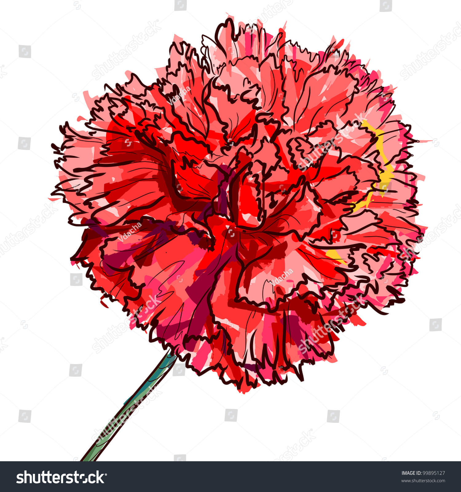 Red Flower Of A Carnation Isolated On A White Background Stock Vector