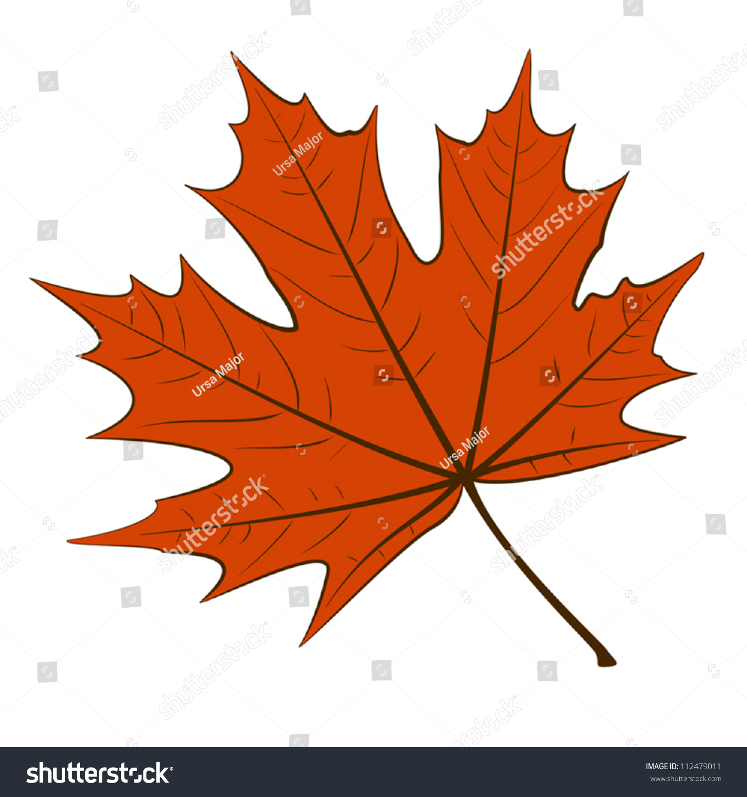 Red Maple Leaf On A White Background. Eps10 Vector Illustration