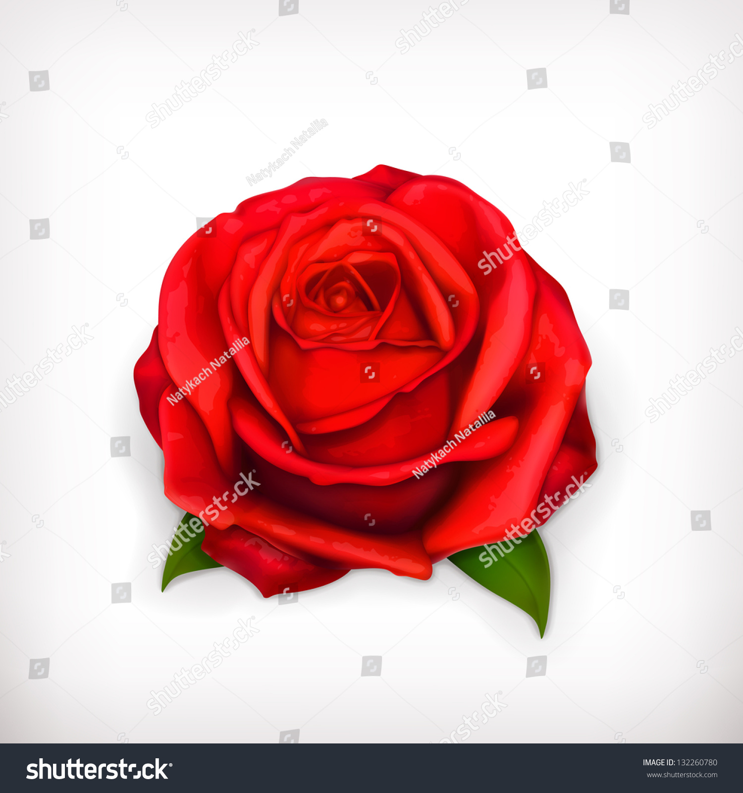 Red Rose Vector - 132260780 : Shutterstock