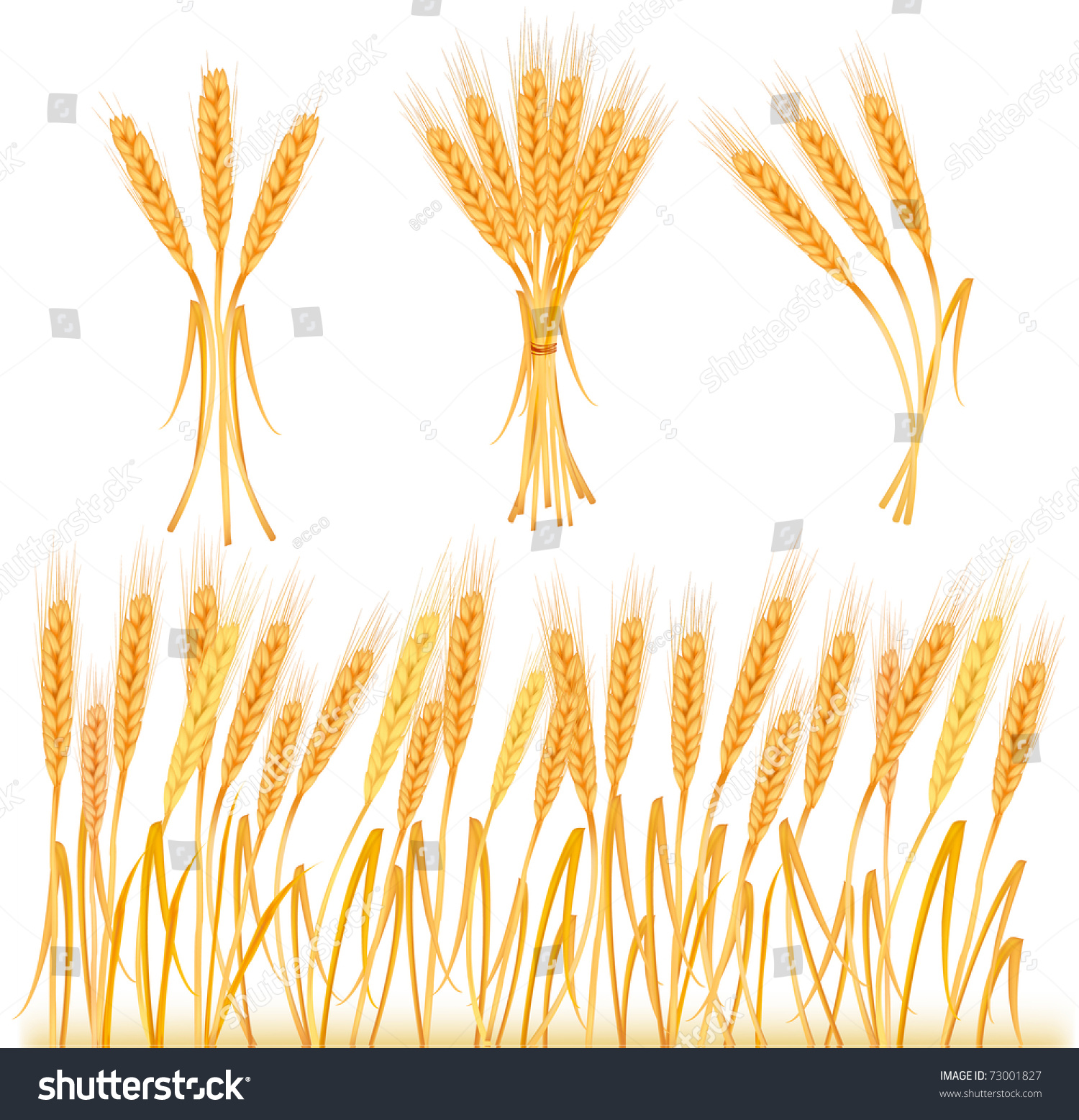 yellow grass clipart - photo #5