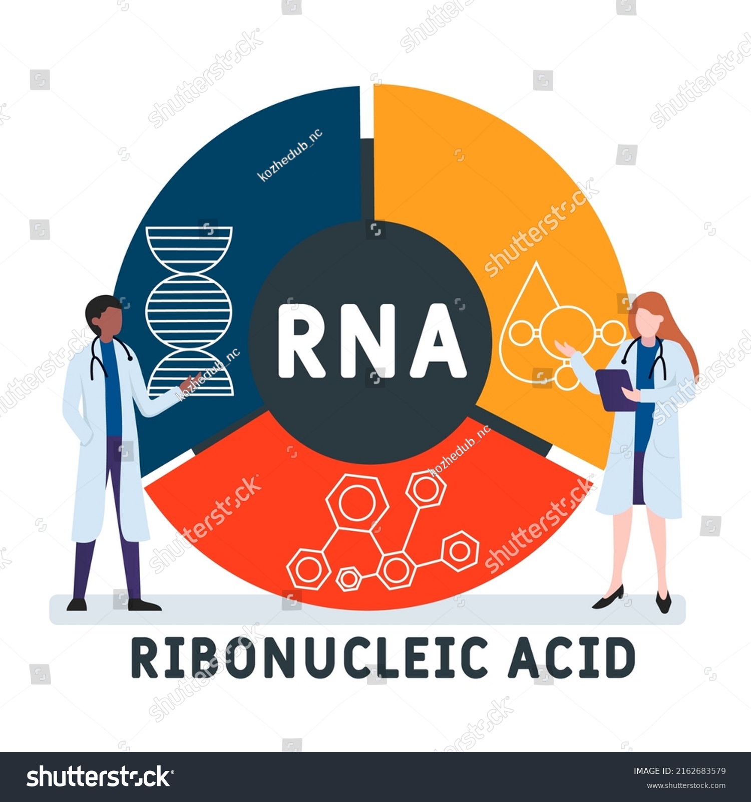 Rna Ribonucleic Acid Acronym Business Concept Stock Vector Royalty