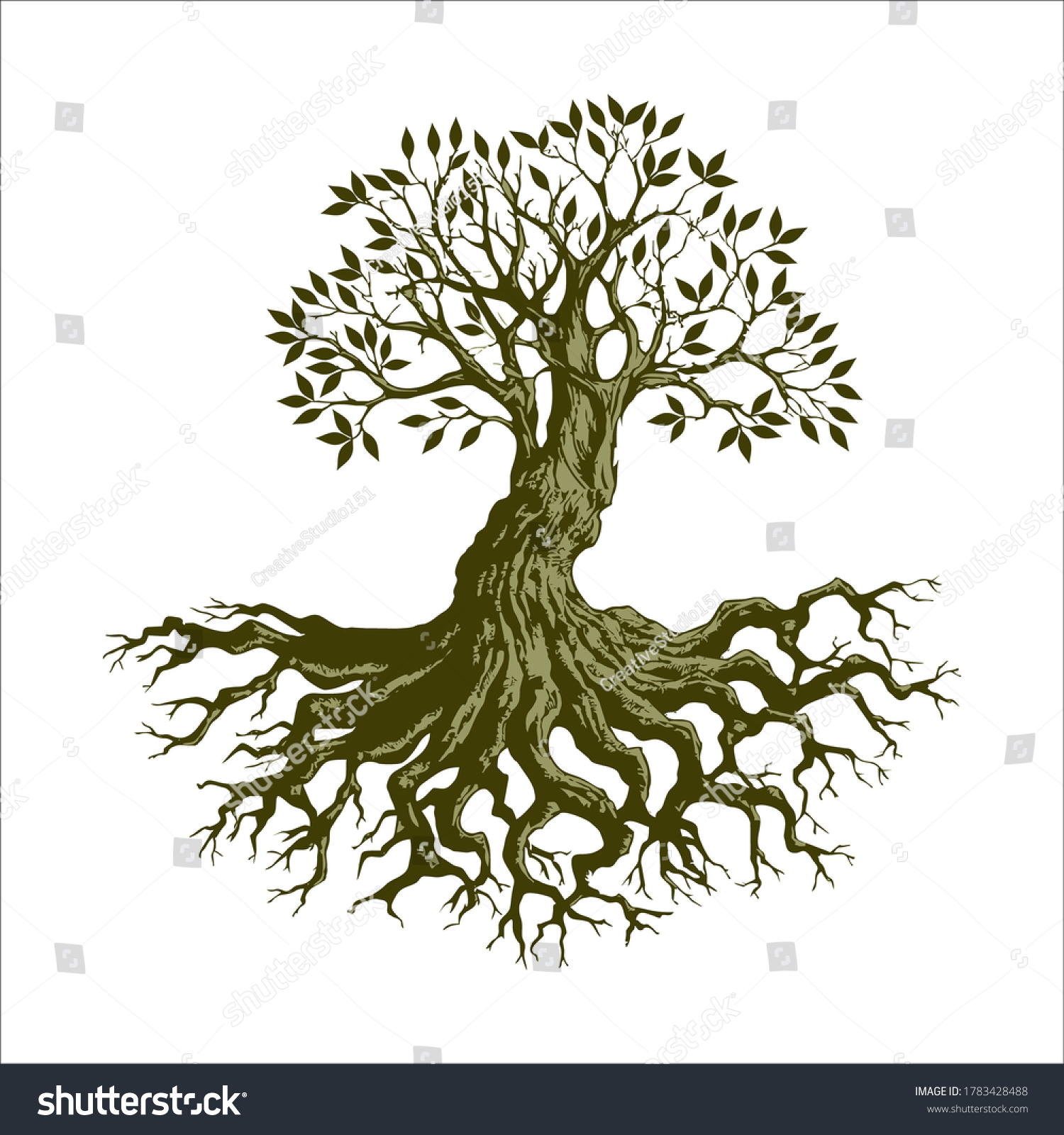 Hand Drawn Tree Roots Images Stock Photos Vectors Shutterstock