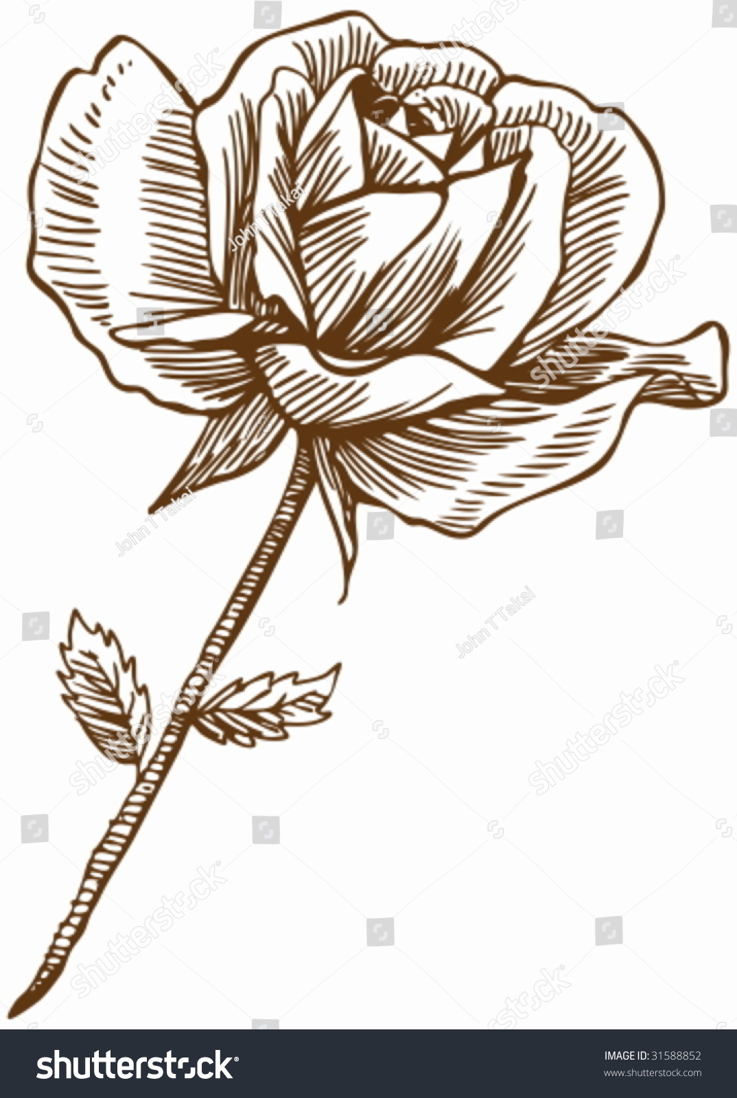 Pink Rose Drawing With Stem
