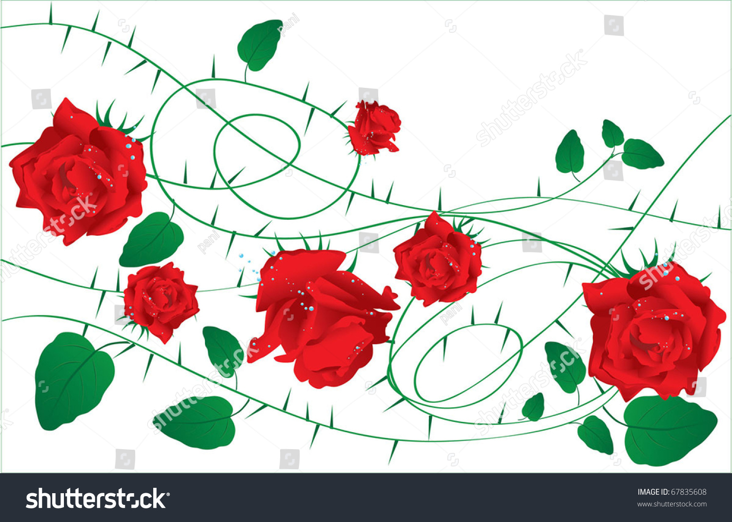 Roses Thorns Stock Vector 67835608 - Shutterstock