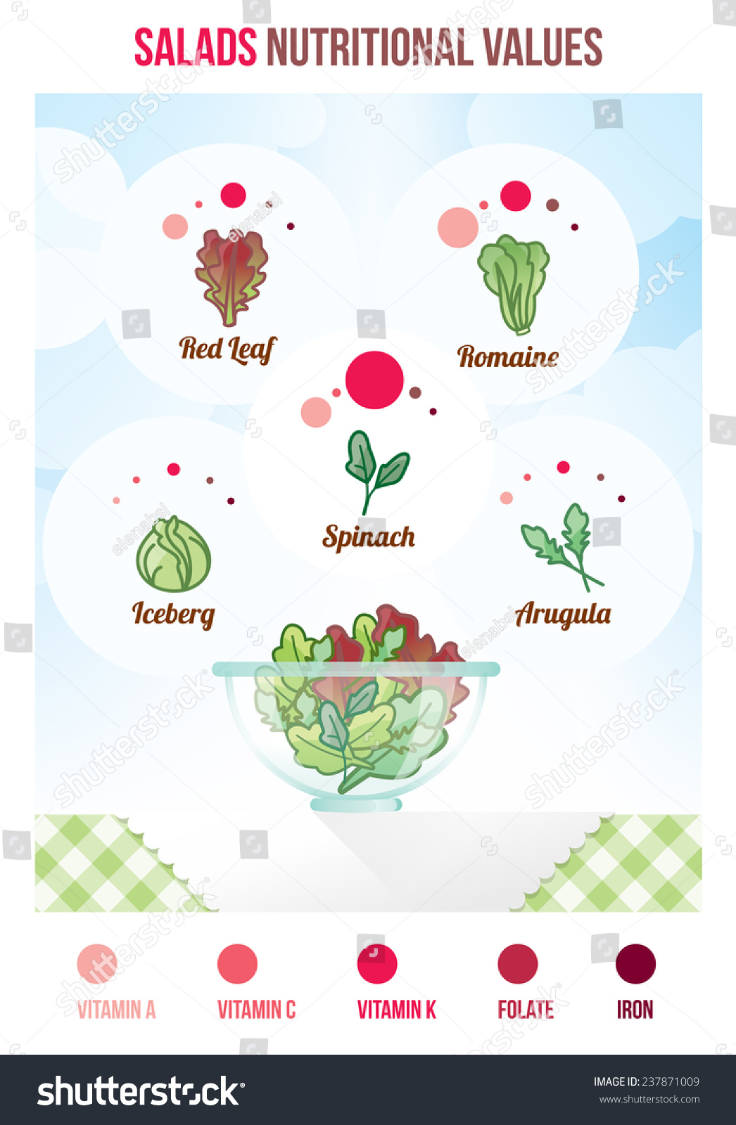 Salads Nutritional Values With Infographic Salad Varieties And Full Bowl Stock Vector