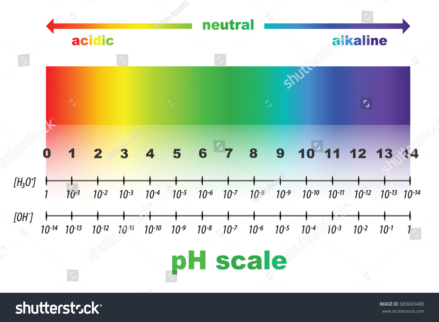 Scale Ph Value Acid Alkaline Solutions Stock Vector Royalty Free